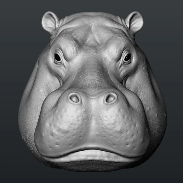 hippo head 3D Print Model .c4d .max .obj .3ds .fbx .stl .blend 