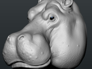 hippo head 3D-Druckmodell