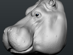 hippo head 3D-Druckmodell