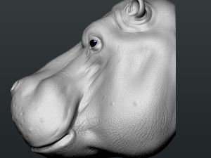 hippo head 3D-Druckmodell