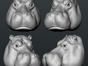 hippo head 3D-Druckmodell