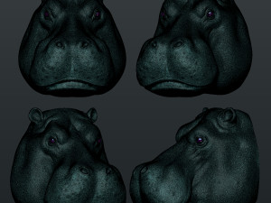 hippo head 3D-Druckmodell