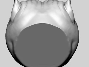 Pitbull Head Size Mini 3D Print Model