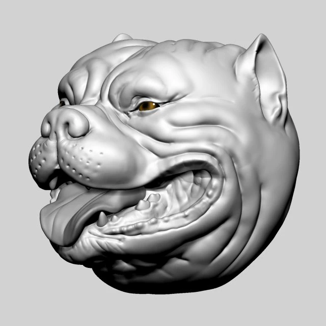 Pitbull Head Size Mini 3D Print Model .c4d .max .obj .3ds .fbx .stl .blend 