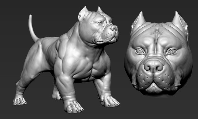 American Bully 3D-printmodel .c4d .max .obj .3ds .fbx .stl .blend 