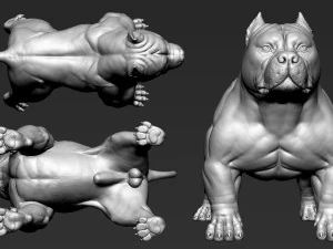 American Bully 3D Print Model
