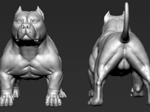 American Bully 3D Print Model