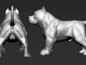 American Bully 3D-printmodel