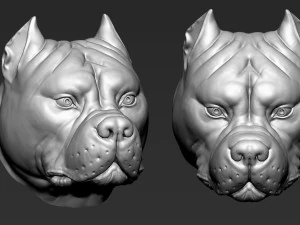 American Bully 3D Print Model