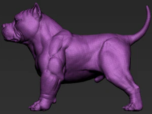 American Bully 3D Print Model