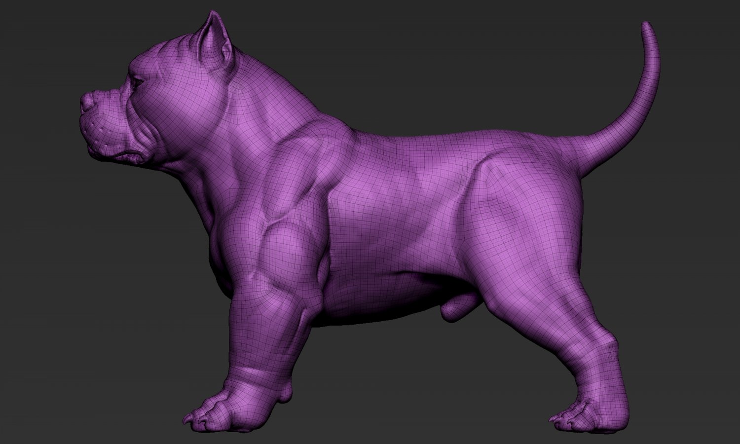 American Bully Dog 3D model 3D printable