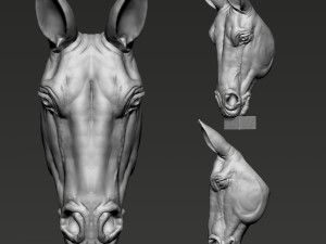 Horse Head Modelo de Impressão 3D