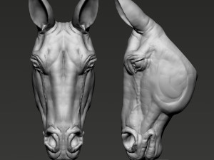 Horse Head Modelo de Impressão 3D