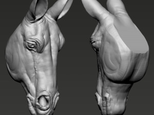 Horse Head Modelo de Impressão 3D