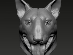 Bull Terrier Modèles 3D en vedette