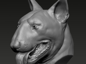 Bull Terrier Modèles 3D en vedette