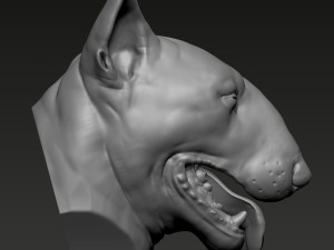 Bull Terrier Modèles 3D en vedette