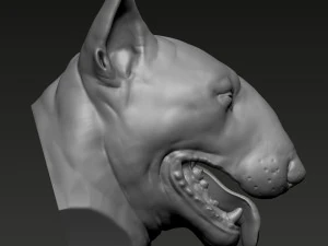 Bull Terrier 3D Print Model