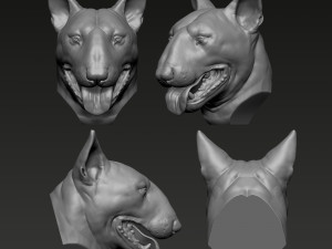 Bull Terrier Modèles 3D en vedette