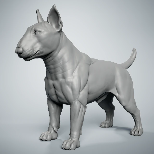Bull Terrier Modelo de Impressão 3D .c4d .max .obj .3ds .fbx .stl .blend 
