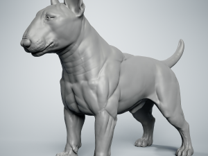 Bull Terrier 3D 打印模型