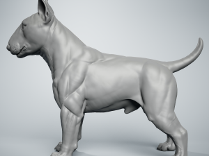 Bull Terrier Modelo de Impressão 3D
