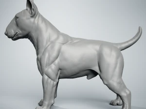Bull Terrier Modelo de Impressão 3D