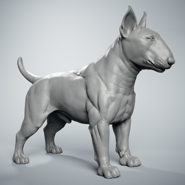 Bull hotsell terrier modelos