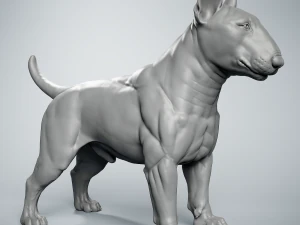 Bull Terrier Modelo de Impressão 3D