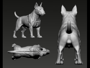 Bull Terrier Modelo de Impressão 3D