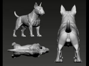 Bull Terrier Modelo de Impressão 3D