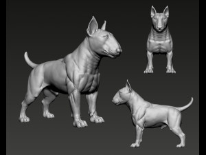 Bull Terrier Modelo de Impressão 3D