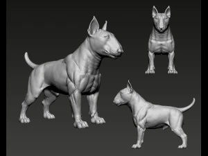 Bull Terrier Modelo de Impressão 3D