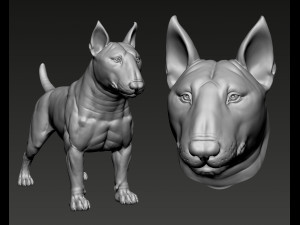 Bull Terrier Modelo de Impressão 3D