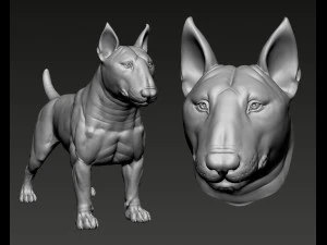 Bull Terrier Modelo de Impressão 3D