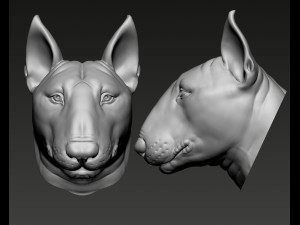 Bull Terrier Modelo de Impressão 3D