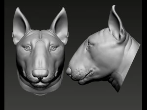 Bull Terrier Modelo de Impressão 3D