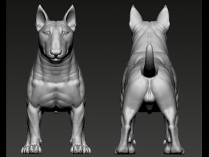 Bull Terrier Modelo de Impressão 3D