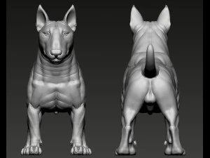 Bull Terrier Modelo de Impressão 3D
