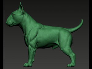 Bull Terrier Modelo de Impressão 3D