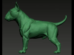 Bull Terrier Modelo de Impressão 3D