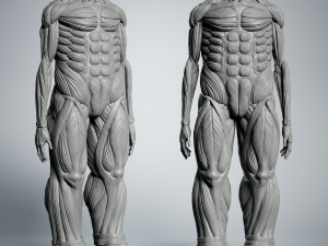 Attack on Titan Titan Titan 60m 3D-printmodel