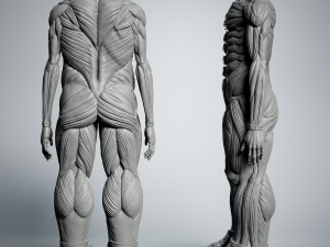 Attack on Titan Titan Titan 60m 3D 프린트 모델