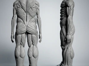 Attack on Titan Titan Titan 60m 3D Print Model