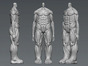 Attack on Titan Titan Titan 60m 3D Print Model
