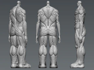 Attack on Titan Titan Titan 60m 3D Print Model