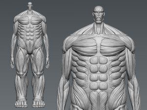 Attack on Titan Titan Titan 60m 3D 프린트 모델