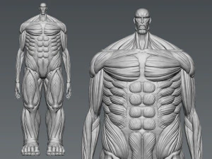 Attack on Titan Titan Titan 60m 3D Print Model