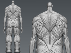 Attack on Titan Titan Titan 60m 3D 프린트 모델