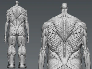 Attack on Titan Titan Titan 60m 3D Print Model